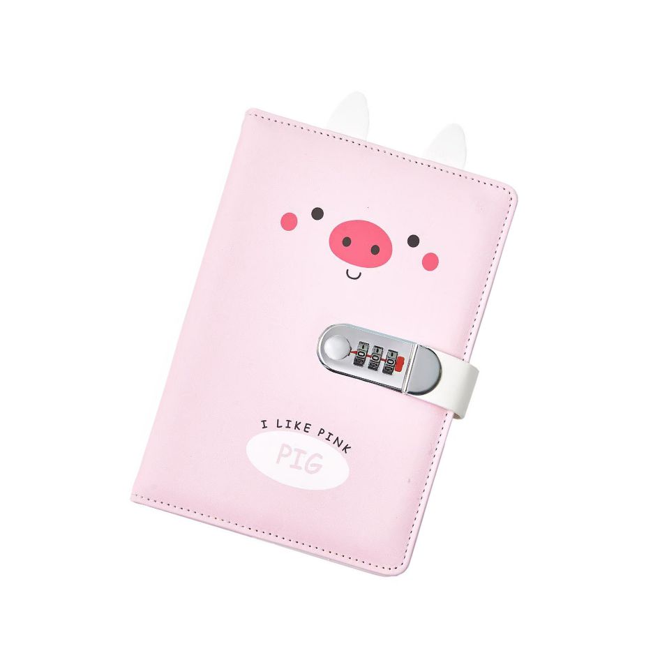 Diary with password lock