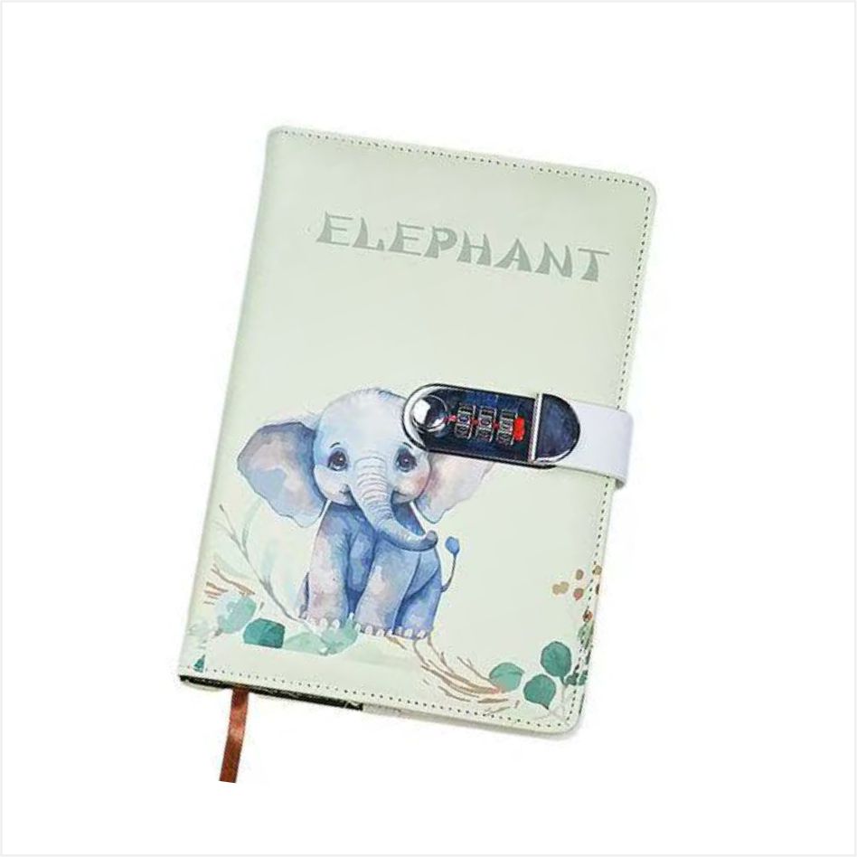 Lock diary book