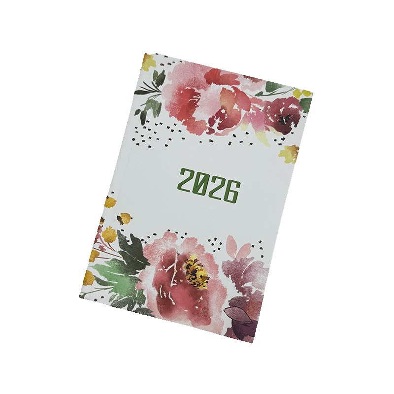 Spanish diary