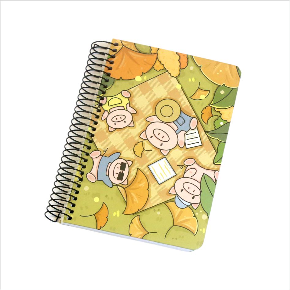 Spiral bound notebooks